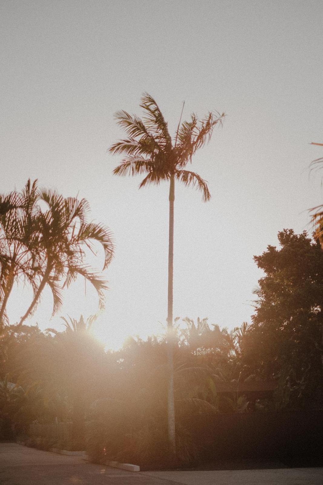 The Bower Byron Bay Hotel Exterior photo